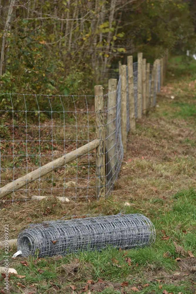 Comment protéger vos cultures contre les sangliers ?